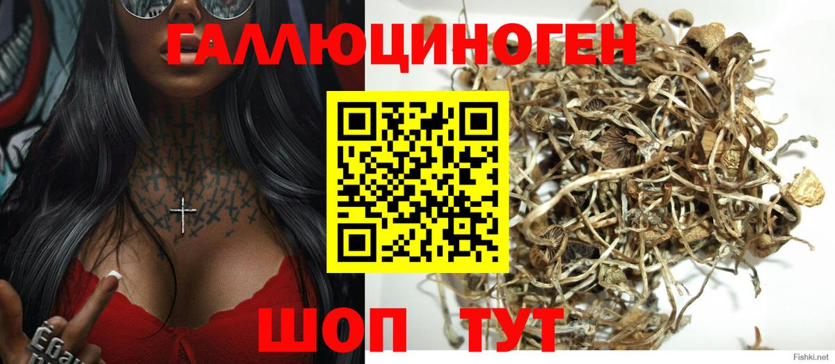 Галлюциногенные грибы MAGIC MUSHROOMS Углич